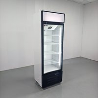 Réfrigérateur à vin et boissons réfrigérés, mini réfrigérateur indépendant pour cola, adapté au transport et au commerce en vrac de haute qualité