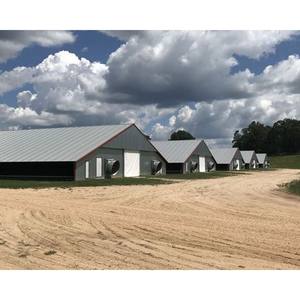 <span class=keywords><strong>Abri</strong></span> étable pour chèvres en acier bon marché structure en acier niche pour chèvres pour moutons - Product Image 6