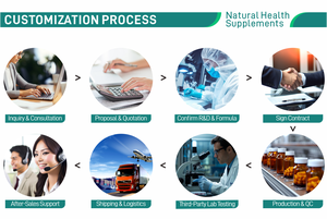 Servicio de Marca Privada, Cápsulas de Turkesterona Pura de 500 mg para la Potencia y el Tono Físico Masculino, Certificadas por GMP y Halal - Product Image 6