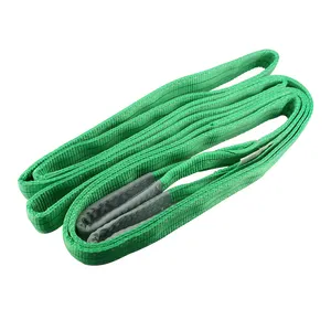 Jiulong Polyester Made Flat/Round Lifting Webbing Sling