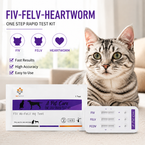 Tiras de prueba de diagnóstico rápido de alta precisión para la toxoplasmosis felina (TOXO Ag) para uso en gatos, de fácil operación. - Product Image 3