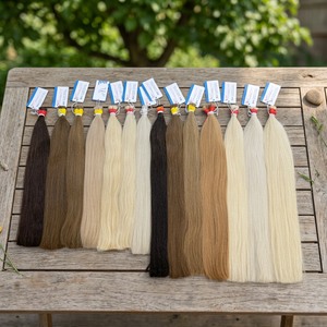 Wholesale Premium Colored Vietnamese Bulk Human Hair <b>Extensions</b> 100% Virgin Hair <b>For</b> <b>Braiding</b> Super Double Drawn - Product Image 5