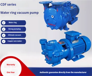 Sıvı Halkalı Vakum Pompası Uzun Ömürlü Yağlı Rulmanlı Endüstriyel Su Arıtma Vakum Gaz Giderme İçin - Product Image 5