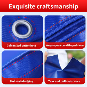 Bâche en PVC pour bassin à poissons, robuste, économique, pour l'élevage de tilapias et de poissons-chats en Afrique, taille personnalisée - Product Image 5