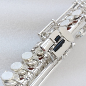 <span class=keywords><strong>Saxophone</strong></span> sopranino professionnel chinois Focus en nickel plaqué avec étui, sac et accessoires à <span class=keywords><strong>vendre</strong></span> - Product Image 3