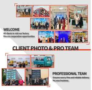 Sunsen电动3轮货运三轮车开式电动摩托车送餐用保暖三轮车triclo Electrico - Product Image 6