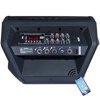 1000 W 8 "Portable professionnel Audio guitare extérieur PA système de haut-parleurs boîte de son avec batterie Rechargeable LED lumières BT Echo
