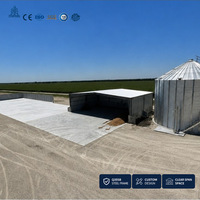 Structure Métallique d'Entrepôt pour Stockage de Pneus, Centre d'Approvisionnement Automobile, Construction à Châssis en Acier pour l'Inventaire de Marchandises Finies