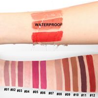 Cosmétiques longue tenue Handaiyan Maquiagem, ensemble de 12 rouges à lèvres liquides mats ou kit pour fille