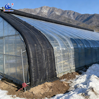 Grande serre tunnel en polyéthylène, serre agricole en film plastique, hangar de culture commercial pour ferme et jardin