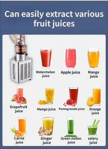 Presse-agrumes commercial, extracteur lent <span class=keywords><strong>de</strong></span> fruits, orange, <span class=keywords><strong>pomme</strong></span>, automatique, électrique, légumes, agrumes, presse-agrumes 600w 1200w 1500w 2000w 3000w - Product Image 3