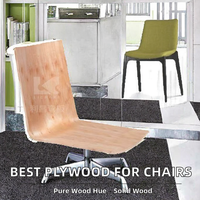 Vente directe d'usine, chaise de salle à manger en bois naturel de haute qualité, chaise de bureau fabriquée en contreplaqué moulé
