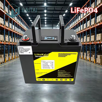 Batterie LiFePO4 12V 60Ah à décharge profonde, 3000 cycles de vie, robuste, pour utilisation hors réseau, solaire, camping-car, caravane