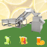 Industriële dubbele roller sapcentrifuge machine, commerciële machine voor het maken van passievruchtensap, scheidt fruitvlies en -pitjes