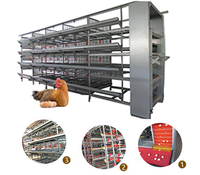 Offre Spéciale durable grand poulailler aviculture équipement meilleur prix automatique poules pondeuses à vendre