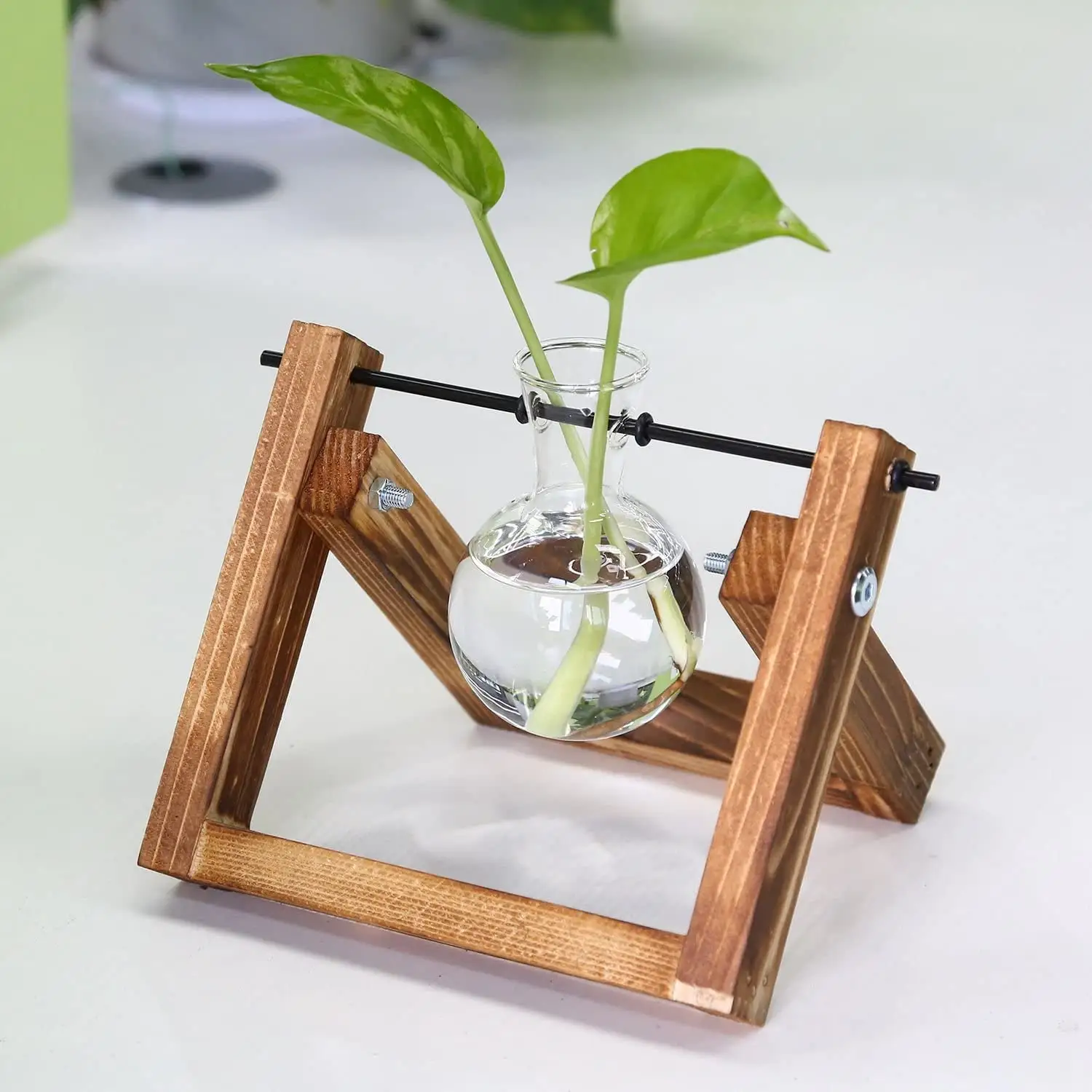 Terrarium de plantes avec support en bois Planteur d'air Ampoule Vase en verre Rétro Table pour hydroponique Maison Jardin Bureau Décoration