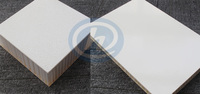 Panneau sandwich en bois contreplaqué GRP FRP enduit de gel/XPS/mousse de polyuréthane PU/nid d'abeilles en PP pour carrosserie de camion et panneaux muraux