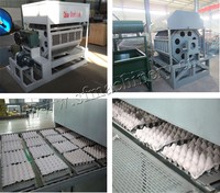 Populaire automatische machine voor het recyclen van oud papier en het vormen van eiertrays van papierpulp