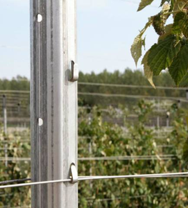 Poste en U de Hierro Galvanizado de Alta Resistencia, Ecológico, para Cerca de Viñedo con Poste Final para Soporte de Plantas de Vid - Product Image 5