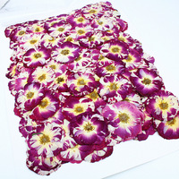 100 pièces/ensemble de roses séchées pressées DIY pour la résine, coque de téléphone, bijoux de téléphone portable, carte postale, cadre photo, décoration de bougie
