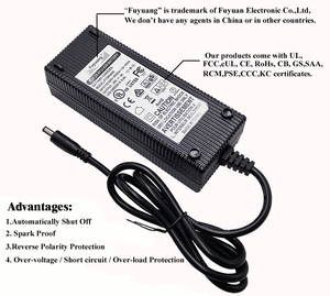 Chargeur <span class=keywords><strong>de</strong></span> batterie LiFePO4 12V 24V 48V 10A 20A 30A 40A 50A Chargeur rapide pour système solaire <span class=keywords><strong>de</strong></span> stockage d'énergie - Product Image 3