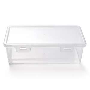 Boîte de rangement portable en plastique transparent pour outils de manucure, étui vide anti-poussière pour accessoires de manucure - Product Image 1