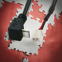 Kustom laki-laki mikro untuk 2 inti 4-core 2 Pin 4-Pin kabel USB perakitan JST Molex Picoblade untuk Mini B USB Plug Wiring Harness