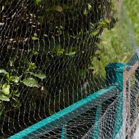 Filet de jardin à mailles carrées de 1 ''Filet de protection pour plantes et arbres en nylon blanc Filet de couverture pour plantes/arbres fruitiers/fleurs