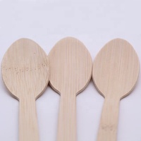 Cuillère en bambou personnalisée avec logo, directement de l'usine, écologique, biodégradable, 160 mm/170 mm