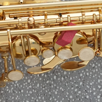 Instruments à vent personnalisés de la marque Aiersi, saxophone alto doré, saxophone, fourniture directe d'usine, instruments à vent à vendre