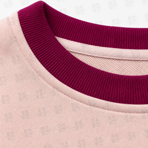 Custom Embroidered Women Soft French Terry Heavyweight Cotton <b>Pullover</b> <b>Jumper</b> Fleece Oversized Crewneck Sweatshirt - Product Image 2