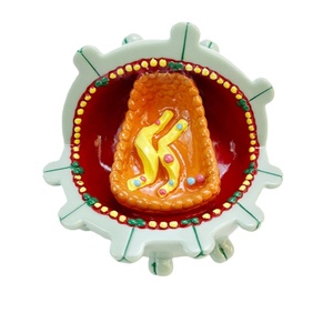 고등학교 생물학 교구 <span class=keywords><strong>HIV</strong></span> 바이러스 해부 모형 해부학적 바이러스 에이즈 세포 모형 - Product Image 4