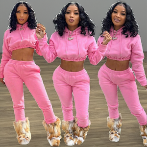 Conjunto de Sudadera con Capucha de 2 Piezas para Mujer, Color Rosa, Felpa, Manga Larga, Casual, Color Sólido, Pantalones Largos con Bolsillo, Corte Regular, para Todas las Temporadas - Product Image 1