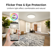 WIFI Smart Fixture 24W RGBCW Colorful Round Dimmable Voice Remote Control Plafonnier LED