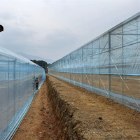 Structure galvanisée à chaud Structure galvanisée à chaud Serre de style chinois 1000 M2 Serre multi-spans recouverte de film