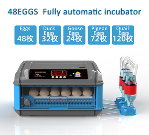 Incubateur automatique d'œufs de paon 300, incubateur d'œufs de <span class=keywords><strong>poussin</strong></span>, <span class=keywords><strong>couveuse</strong></span> de paon fabriquée <span class=keywords><strong>en</strong></span> chine - Product Image 2
