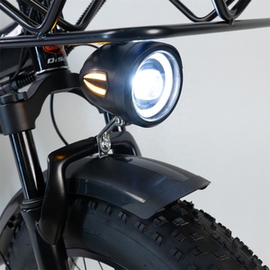 Bicicleta Eléctrica de Litio Disiyuan Factory Outlet Super <span class=keywords><strong>S7</strong></span> de 20 Pulgadas con Neumáticos Gruesos para Nieve, Bicicleta Eléctrica de Montaña de 48V - Product Image 2