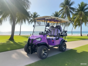 Côte à côte voiture <span class=keywords><strong>électrique</strong></span> 4x4 hors route <span class=keywords><strong>Buggy</strong></span> Mini Jeep voiturette de golf avec CE - Product Image 5