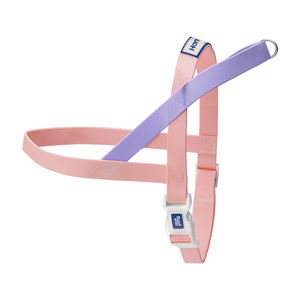 <span class=keywords><strong>Collar</strong></span> y correa de PVC para perro, impermeable, de silicona TPU, arcoíris, personalizado, venta al por mayor - Product Image 2