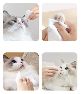 Toallitas Húmedas para Mascotas <span class=keywords><strong>de</strong></span> Marca Privada, Hipoalergénicas, para Perros y Gatos, para Limpiar Patas, Trasero y Cuerpo - Product Image 2