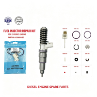 6306004-E3 Kit de Reparación para Conjuntos de Inyectores de la Serie DEF-E3, Kit de Revisión (Juego de 11 Piezas)