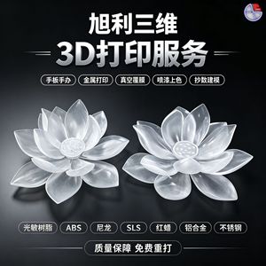 Servicios de Impresión 3D Xuli para Figuras de Anime, Fabricación Personalizada con Formato de Datos STP STL OBJ - Product Image 2