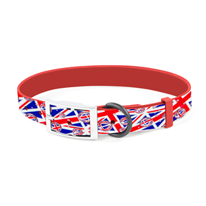 Collar de Perro Resistente con Diseño de Fútbol, Recubierto de PVC, con Hebilla de Anillo en D de Metal y Liberación Rápida para Pasear Perros - Product Image 5