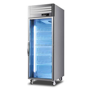 Congelador vertical comercial de 1 puerta para exhibición de bebidas en supermercados y restaurantes - Product Image 2