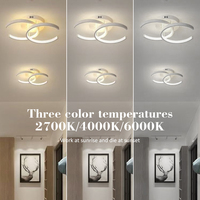 Minimaliste Dimmable Acrylique Art Mount Décoratif Fantaisie Maison Éclairage Moderne Restaurant Salon Led Plafonnier pour Intérieur