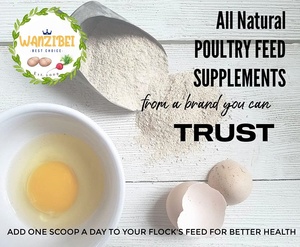 Fabricant d'œufs, complément alimentaire <span class=keywords><strong>pour</strong></span> poules pondeuses, nourriture <span class=keywords><strong>pour</strong></span> volailles avec acides gras oméga-3, enrichie en vitamines et minéraux - Product Image 4