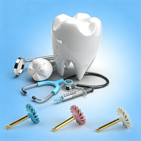 Kit de polissage dentaire électrique Ai Oral pour composites, 6 disques diamantés RA de 14 mm, système de roues, brosse spirale flexible, qualité médicale Classe II