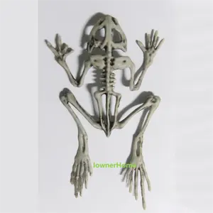 Halloween Haunted House Accessories Decorations Movable Life Full Body Small Large Animal Halloween Skeletonfor Sale