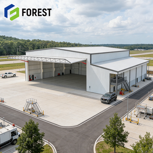 Hangar d'avion en structure acier de haute qualité au design moderne, résistant au vent, pour la logistique aérienne avec service de conception - Product Image 1