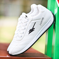 Chaussures de sport décontractées pour hommes, chaussures de course à lacets, doublure en mesh sportive, semelle intérieure en PVC, été automne